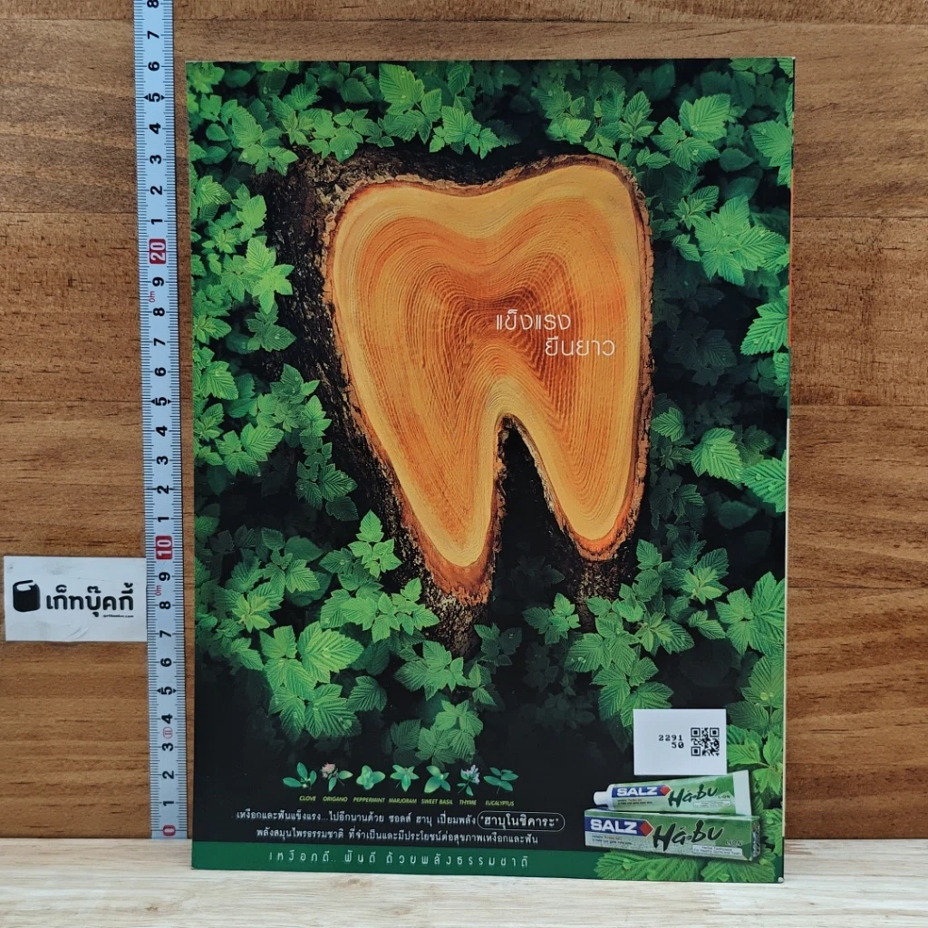 หนังสือ Advanced Thailand Geographic ปีที่ 8 ฉบับที่ 54 ธ.ค.2545 รูปที่ 3