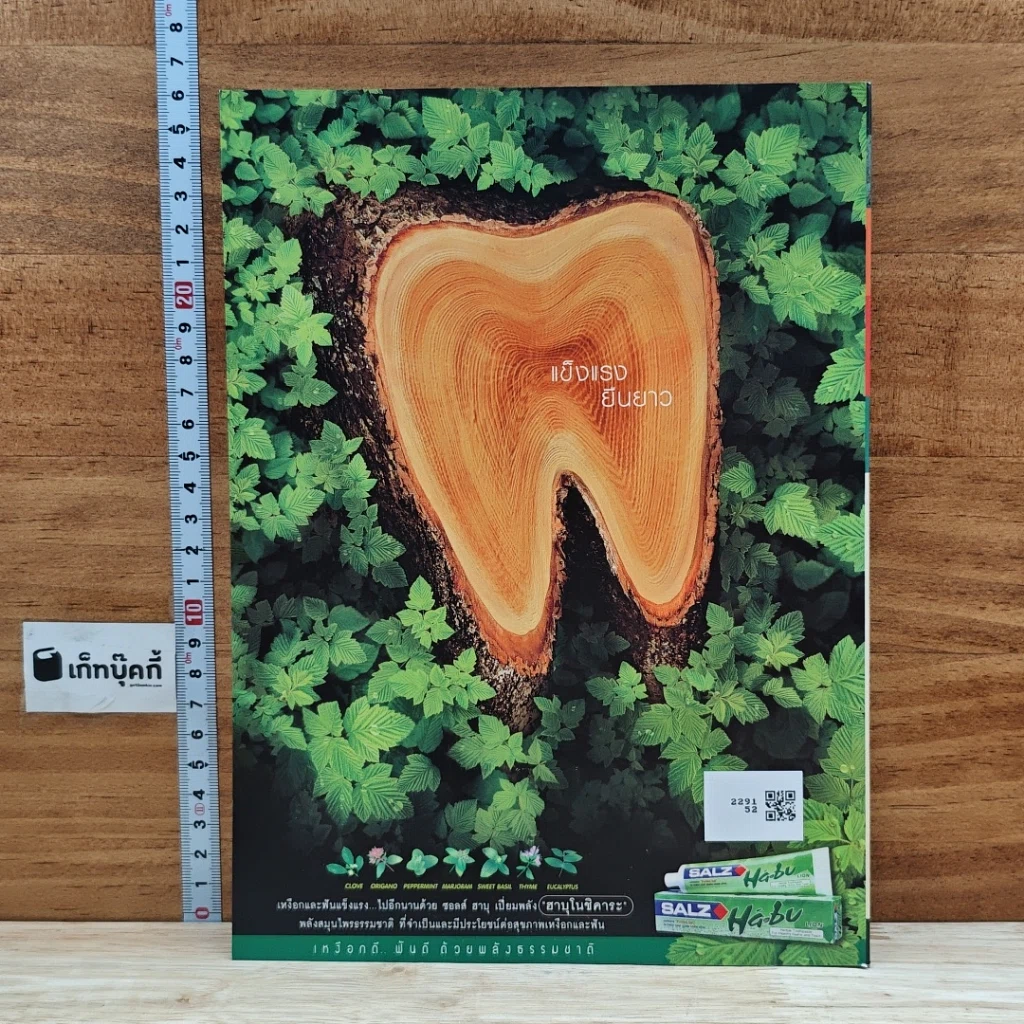 หนังสือ Advanced Thailand Geographic ปีที่ 8 ฉบับที่ 58 พ.ย.2545 รูปที่ 3