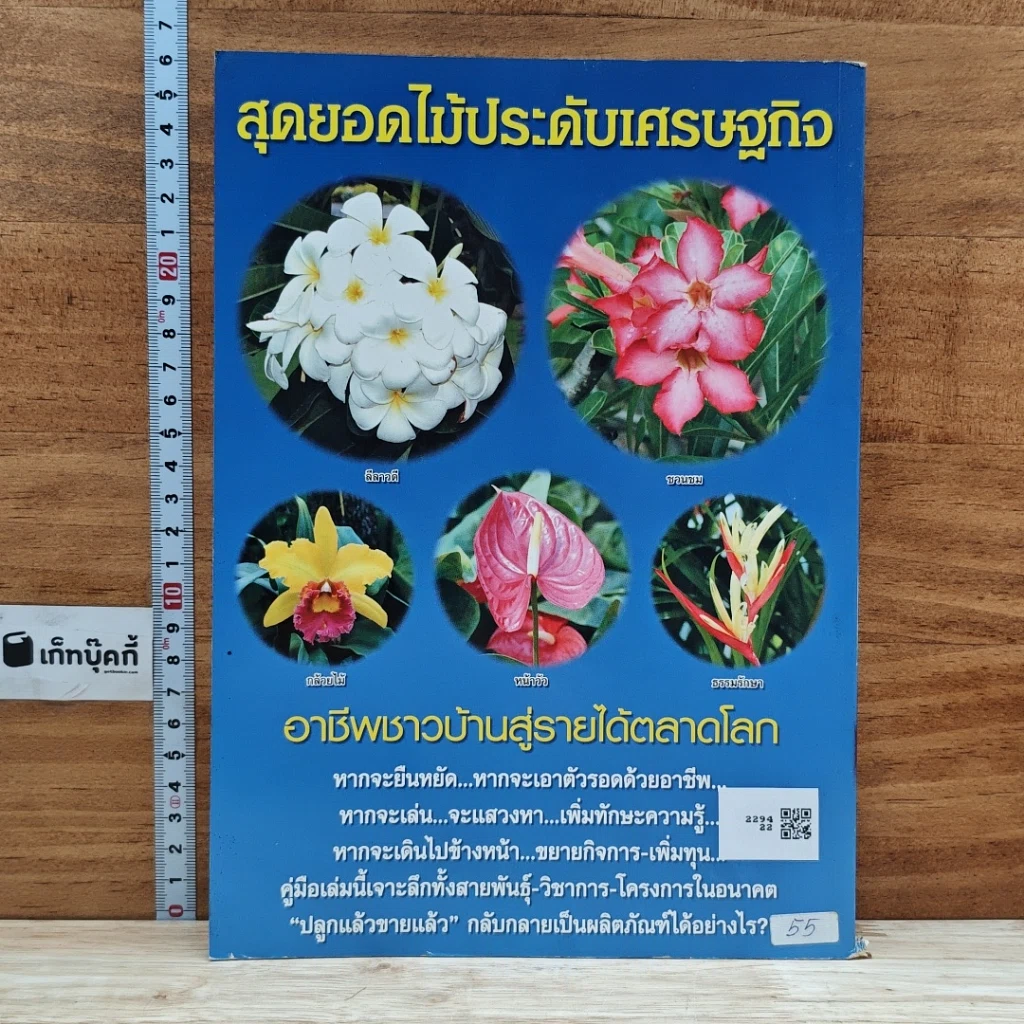 5 ไม้ประดับ รูปที่ 2