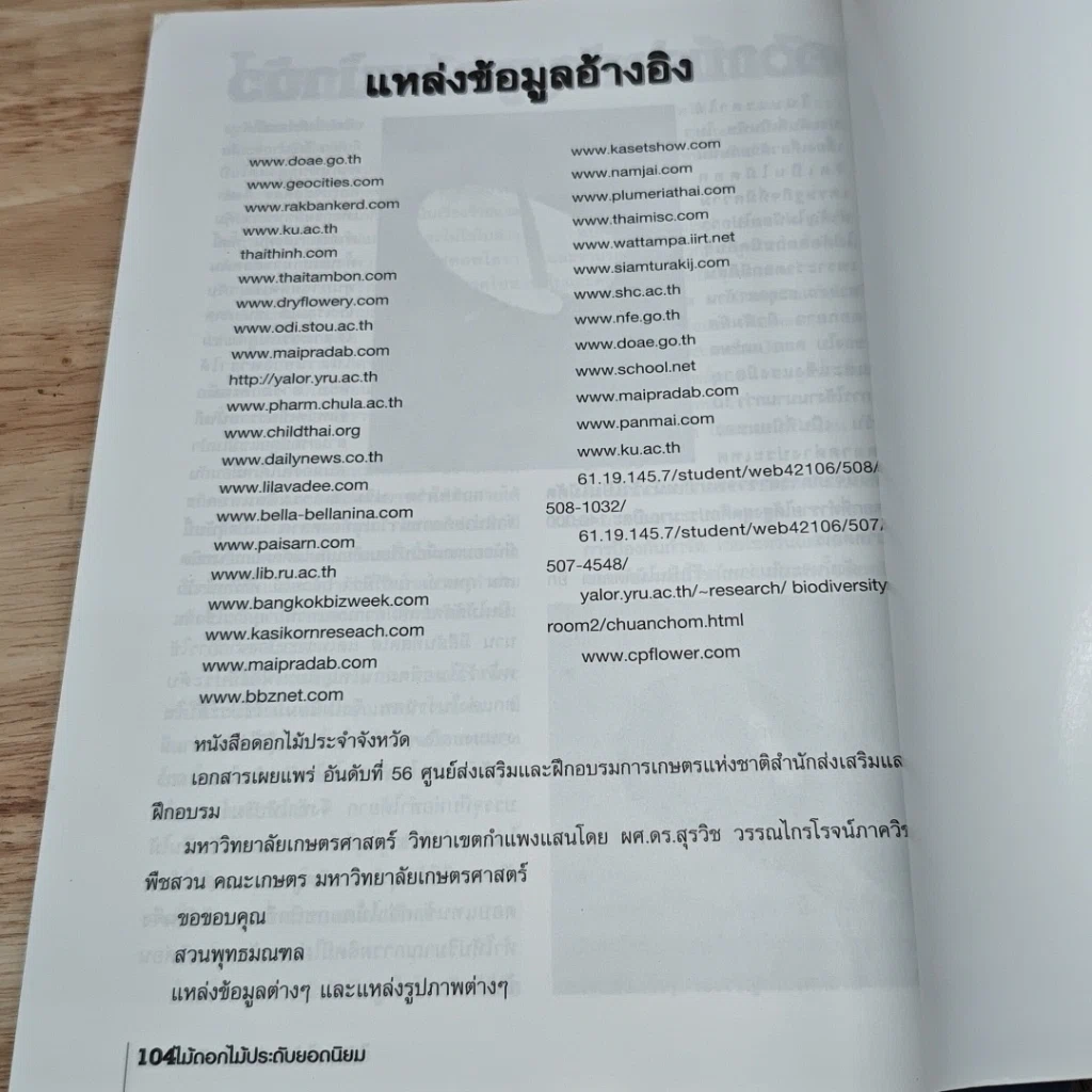 5 ไม้ประดับ รูปที่ 8