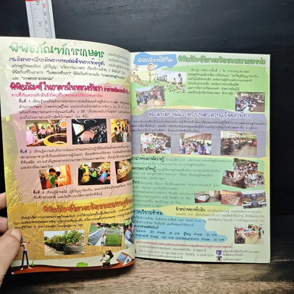 คู่มือ การปลูกไผ่หายจน รูปที่ 6