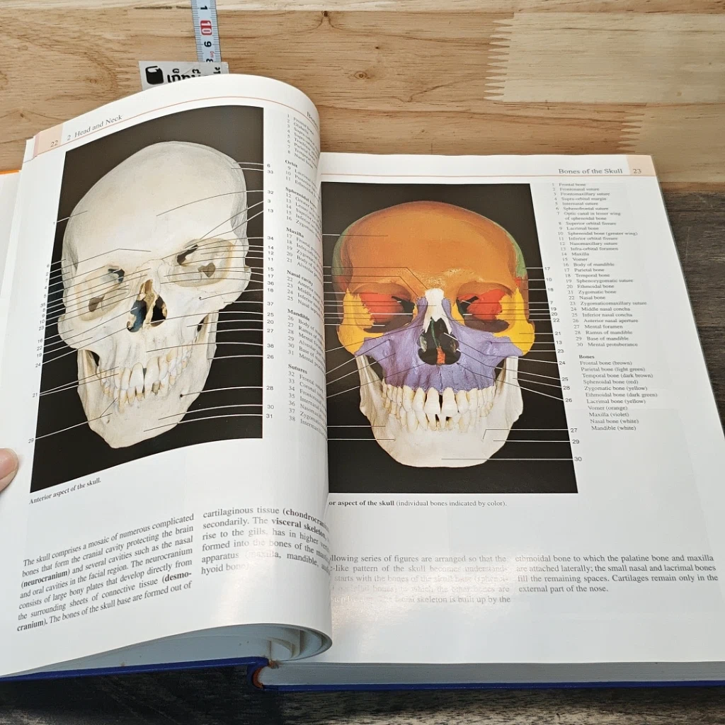 Color Atlas of Anatomy รูปที่ 7