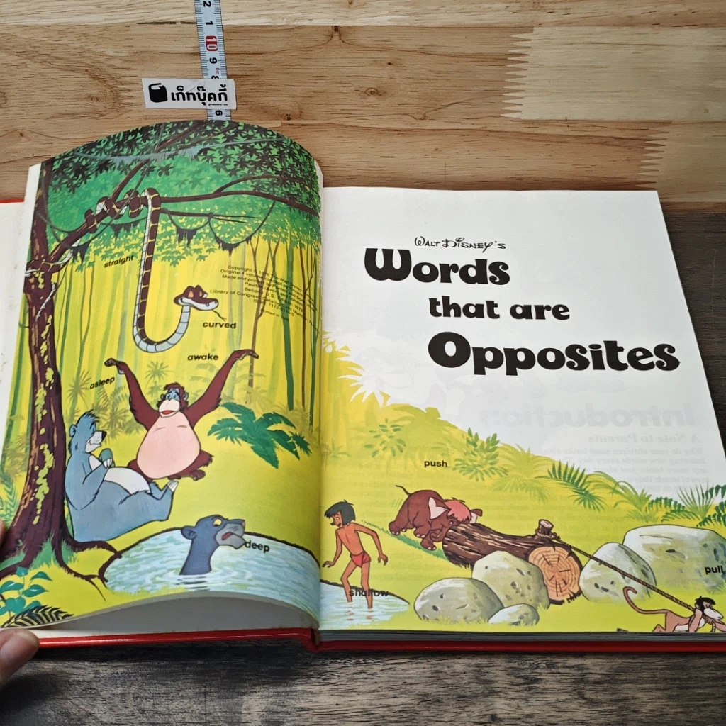 Walt Disney's Words that are Opposites รูปที่ 6