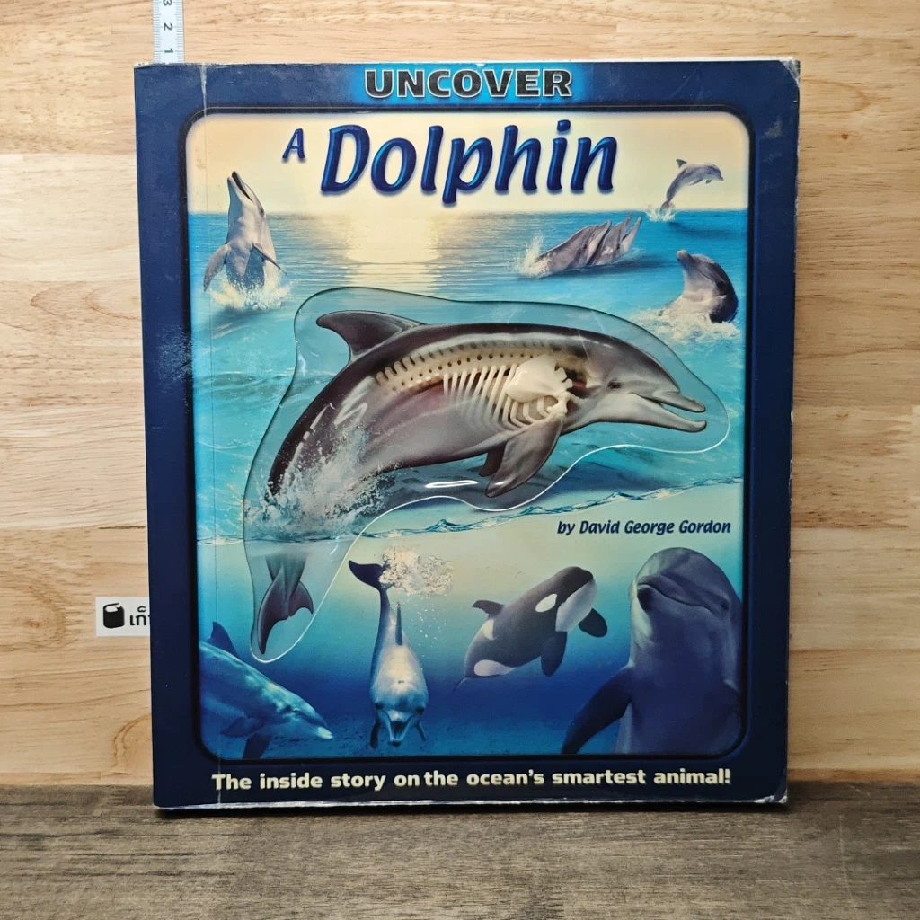 หนังสือ Uncover a Dolphin รูปที่ 1
