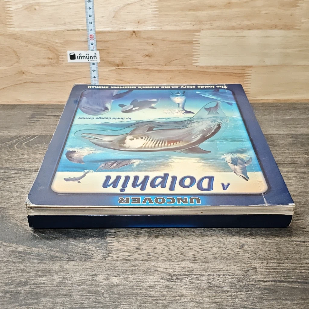 หนังสือ Uncover a Dolphin รูปที่ 4