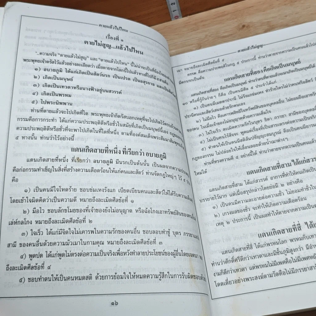 หนังสือ ตายไม่สูญ...แล้วไปไหน รูปที่ 11