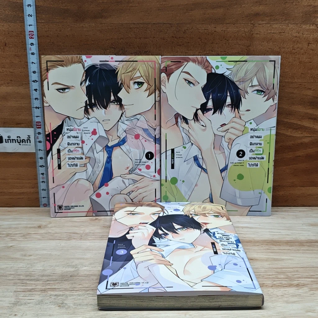 หนังสือ หนุ่มขี้อายอย่างผมดันกลายเป็นที่รักของฝาแฝดไปซะได้ เล่ม 1-3 รูปที่ 1