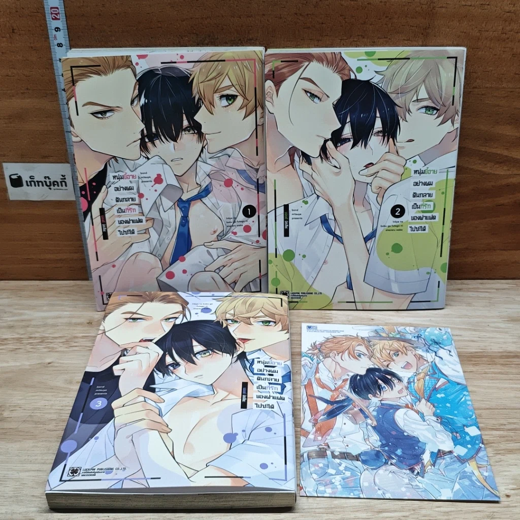 หนังสือ หนุ่มขี้อายอย่างผมดันกลายเป็นที่รักของฝาแฝดไปซะได้ เล่ม 1-3 รูปที่ 6