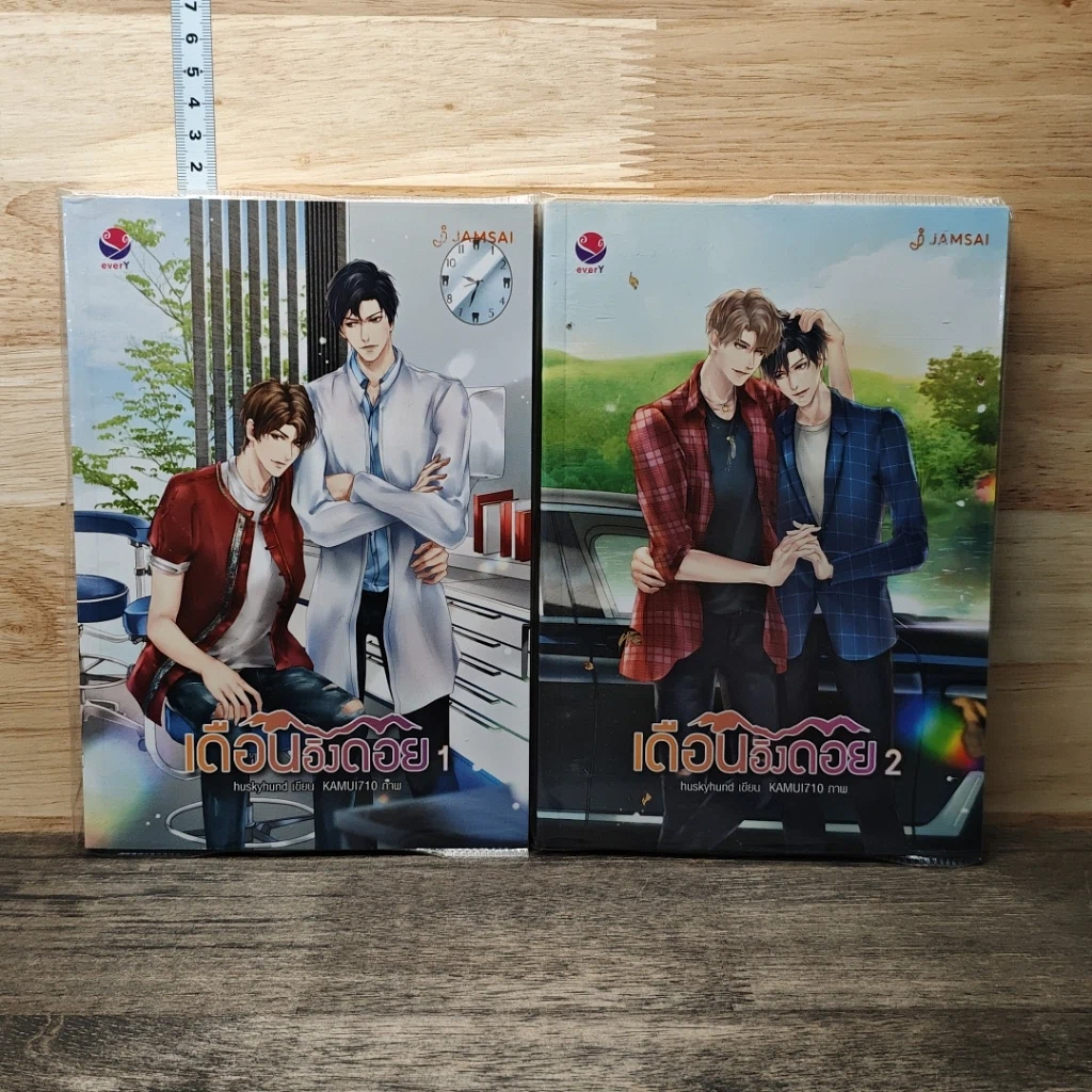 หนังสือ เดือนอิงดอย 2 เล่มจบ รูปที่ 1