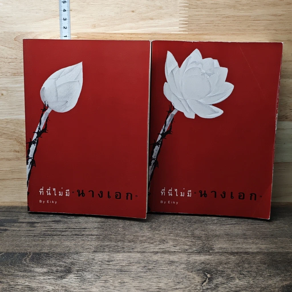 หนังสือ ที่นี่ไม่มีนางเอก 2 เล่มจบ รูปที่ 1