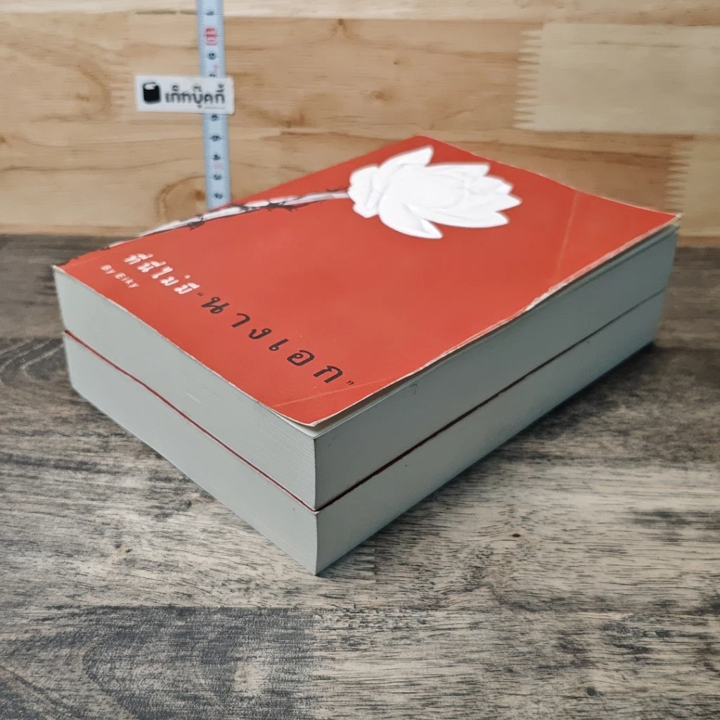 หนังสือ ที่นี่ไม่มีนางเอก 2 เล่มจบ รูปที่ 4