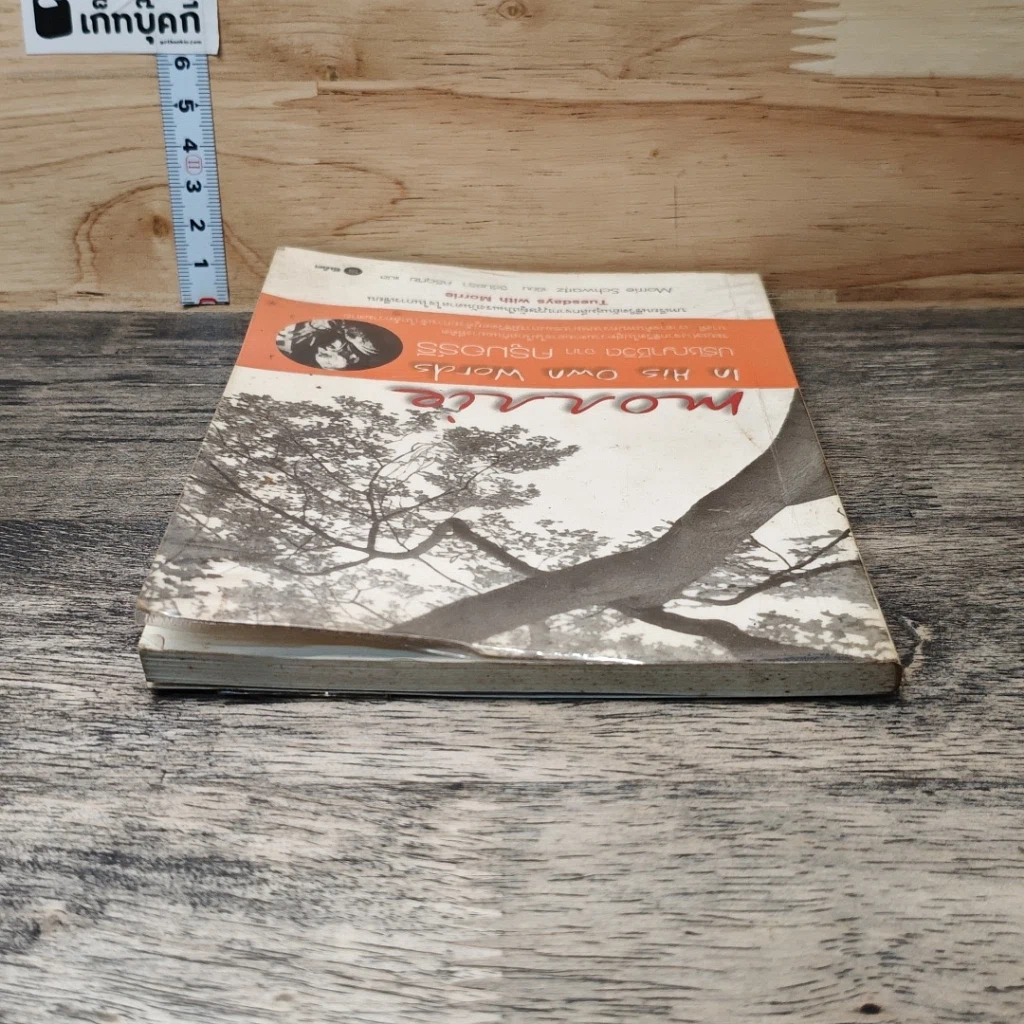 หนังสือ ปรัชญาชีวิต จาก ครูมอร์รี รูปที่ 4