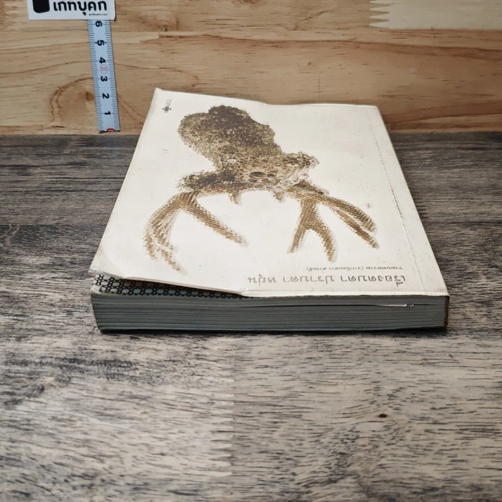 หนังสือ เรื่องตบตา รูปที่ 4