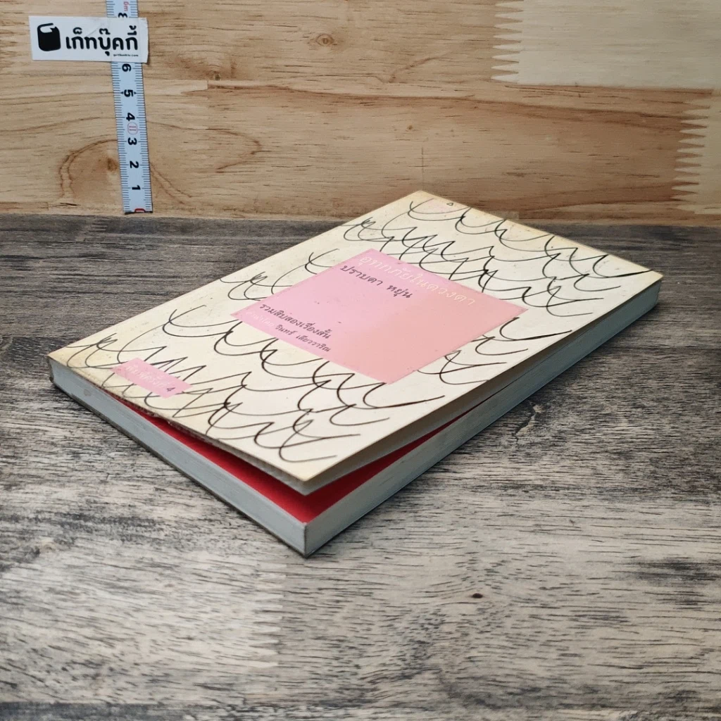 หนังสือ อุทกภัยในดวงตา รูปที่ 3