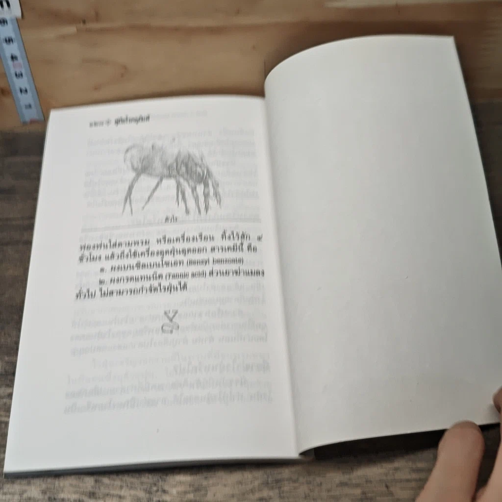 หนังสือ คู่มือโรคภูมิแพ้ รูปที่ 8