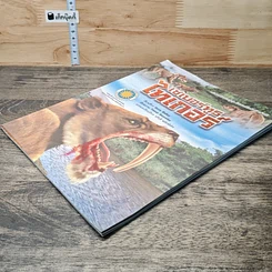 หนังสือ เซเบอร์ทูธไทเกอร์ รูปที่ 3