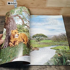 หนังสือ เซเบอร์ทูธไทเกอร์ รูปที่ 6