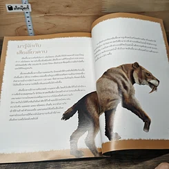 หนังสือ เซเบอร์ทูธไทเกอร์ รูปที่ 7