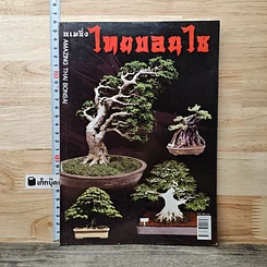 หนังสือ อเมซิ่ง ไทยบอนไซ