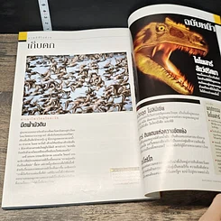 หนังสือ National Geographic ก.พ.2546 รูปที่ 9