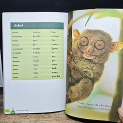 สนุกกับภาษาตากาล็อก รากภาษาอาเซียน รูปที่ 10