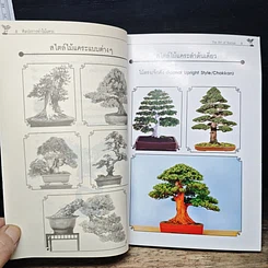 หนังสือ ศิลปะการทําไม้แคระ รูปที่ 9