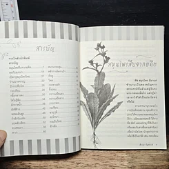 หนังสือ ฟิตปึ๋ง บึงบัง พลังสมุนไพรไทย รูปที่ 7
