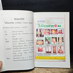 หนังสือ พืชเศรษฐกิจไม้โตเร็ว ไม้ยมหอม (สายพันธุ์ดี) รูปที่ 9