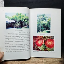 หนังสือ พืชเศรษฐกิจไม้โตเร็ว ไม้ยมหอม (สายพันธุ์ดี) รูปที่ 10
