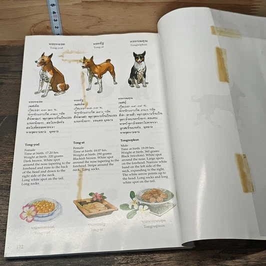 หนังสือ เรื่อง ทองแดง ฉบับการ์ตูน รูปที่ 8