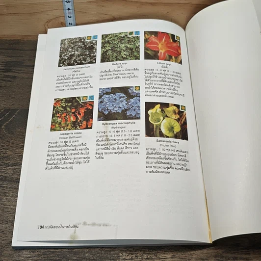 หนังสือ แนวคิดและรูปแบบ การจัดสวนน้ำภายในบ้าน ด้วยตนเอง รูปที่ 8