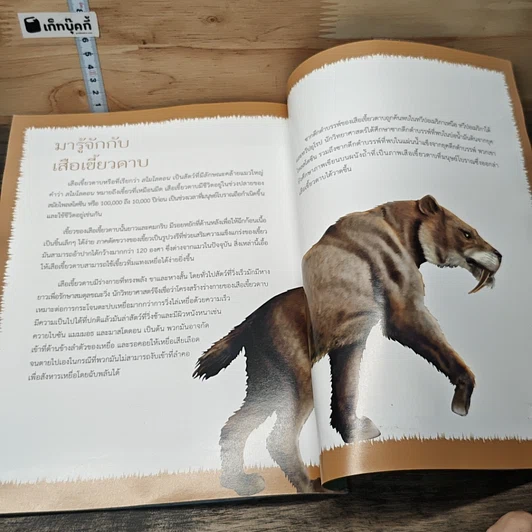 หนังสือ เซเบอร์ทูธไทเกอร์ รูปที่ 7
