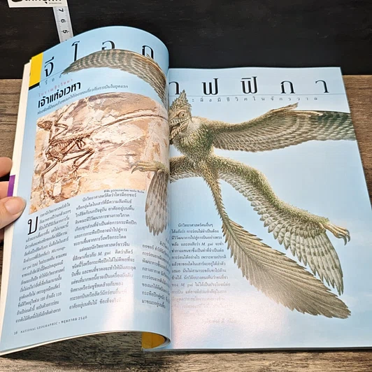 หนังสือ National Geographic พ.ค.2546 รูปที่ 8