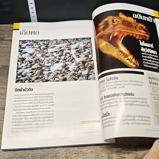 หนังสือ National Geographic ก.พ.2546 รูปที่ 9