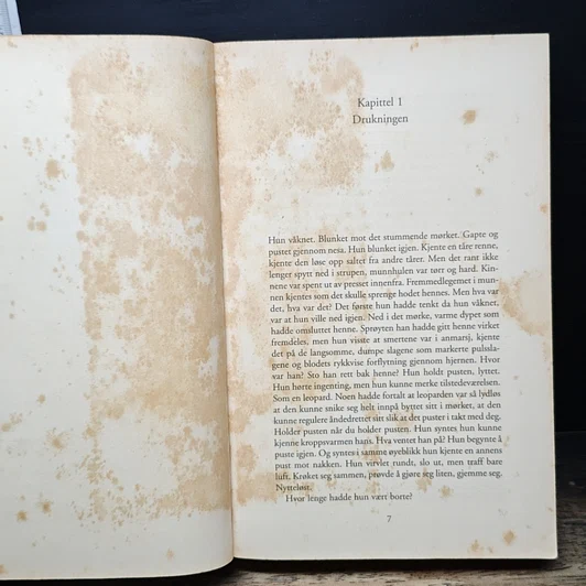 หนังสือ Panserhjerte รูปที่ 6