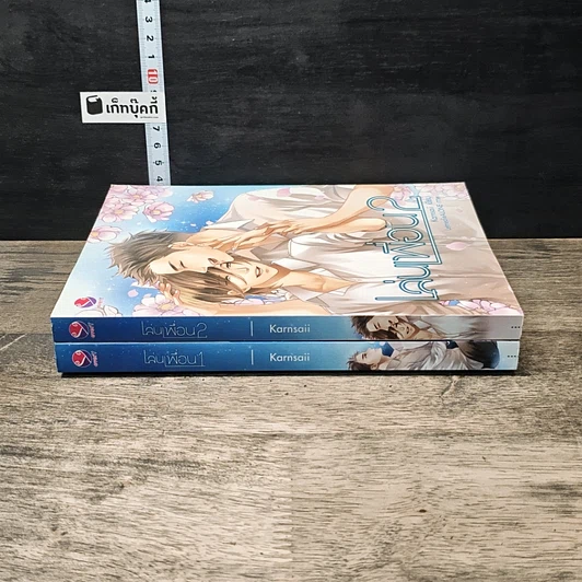 หนังสือ เล่นเพื่อน 2 เล่มจบ รูปที่ 3
