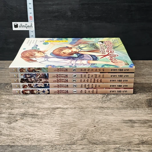 หนังสือ หยินหยาง กรรไกรทะลุมิติ 5 เล่มจบ รูปที่ 3