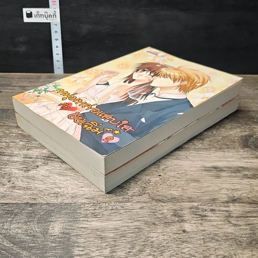 หนังสือ หนุ่มหล่อแสบใสกับยัยเฉิ่ม 2 เล่มจบ รูปที่ 4