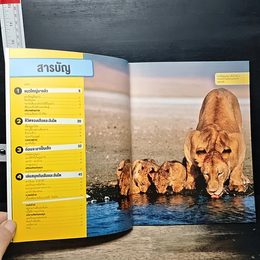 หนังสือ รู้ไปหมด เรื่อง เสือและสิงโต รูปที่ 6