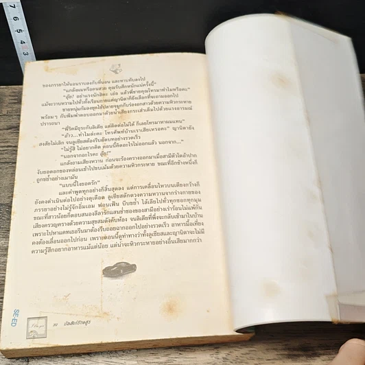 หนังสือ บัลลังก์รักอสูร รูปที่ 8