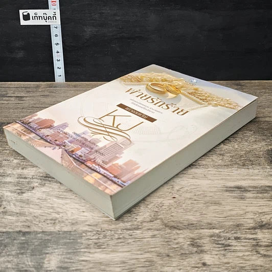 หนังสือ พ่ายรักร้าย รูปที่ 3