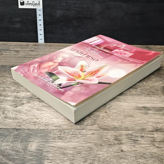 หนังสือ เมียนางบำเรอ รูปที่ 3