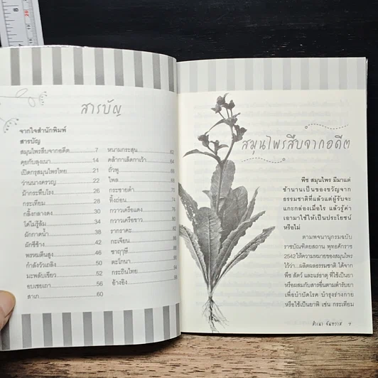 หนังสือ ฟิตปึ๋ง บึงบัง พลังสมุนไพรไทย รูปที่ 7