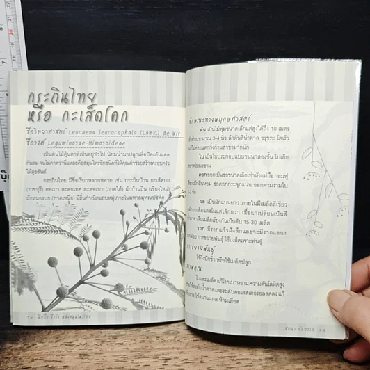 หนังสือ ฟิตปึ๋ง บึงบัง พลังสมุนไพรไทย รูปที่ 8