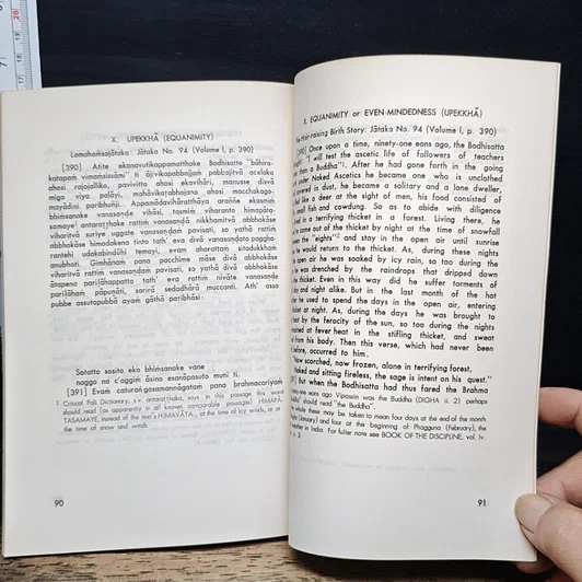 หนังสือ Ten Jataka Stories รูปที่ 8