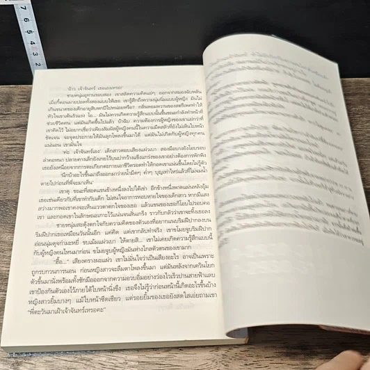 หนังสือ เพลิงบัญชารัก รูปที่ 8