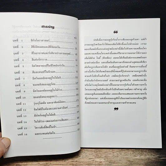 หนังสือ พลังแห่งสีและดนตรีบำบัด รูปที่ 7