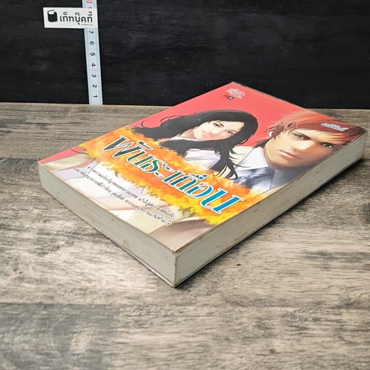 หนังสือ พันธะเถื่อน รูปที่ 3