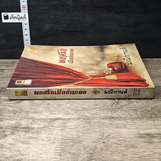 หนังสือ พยศรักเมียกำมะลอ รูปที่ 2