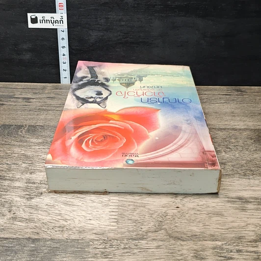 หนังสือ อาญารักจ้าวหัวใจ รูปที่ 4